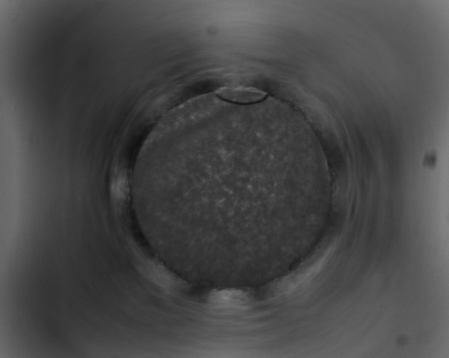 X0000102860137200809021433