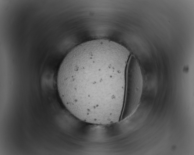 X0000102860140200809021433