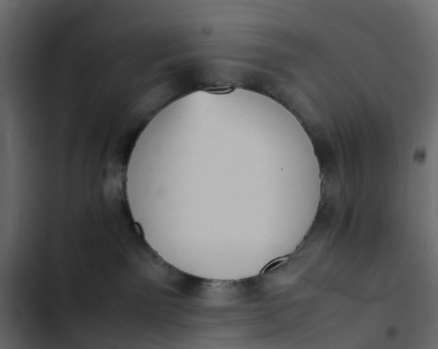 X0000102860141200809021433