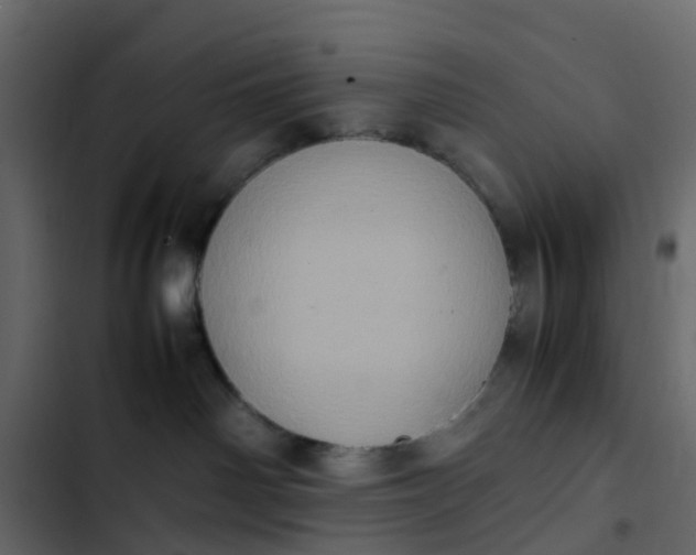 X0000102860142200809021433