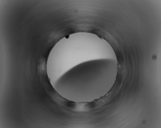 X0000102860143200809021433