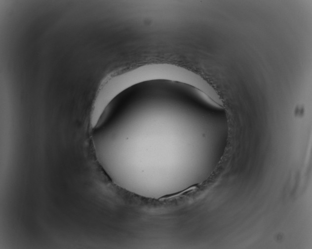 X0000102860144200809021433