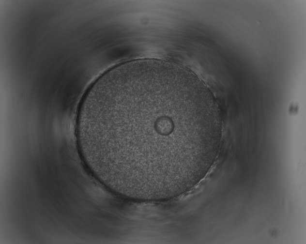 X0000102860146200809021432