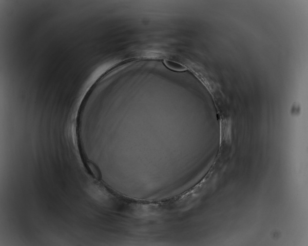 X0000102860147200809021432