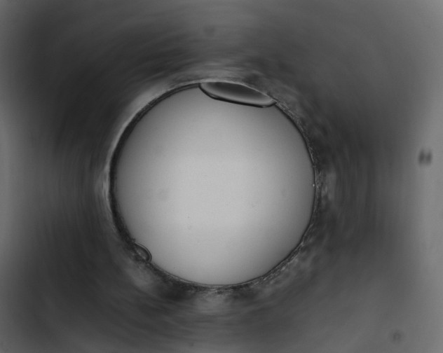 X0000102860148200809021432