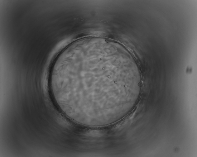 X0000102860149200809021432