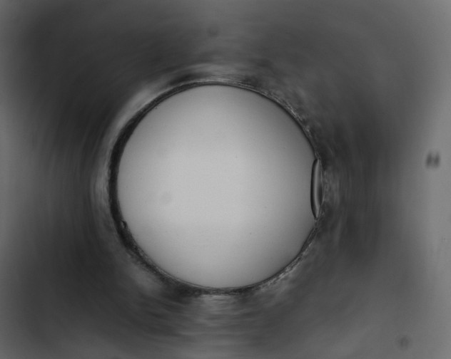 X0000102860150200809021432