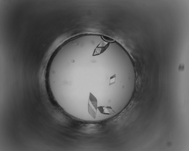 X0000102860151200809021432