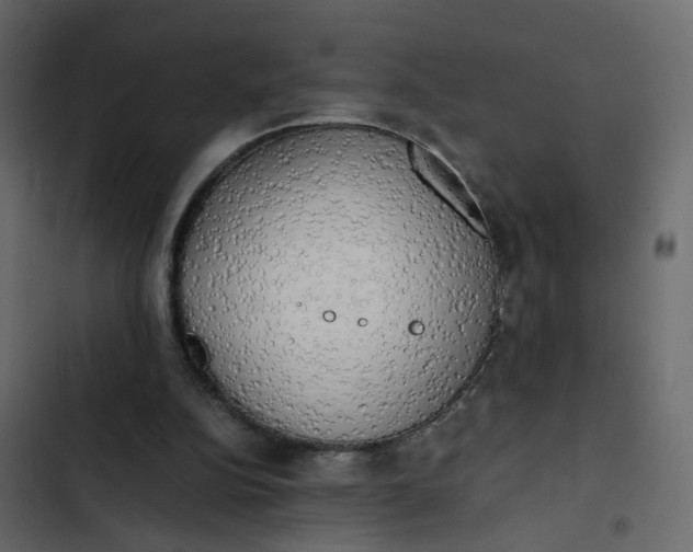 X0000102860152200809021432