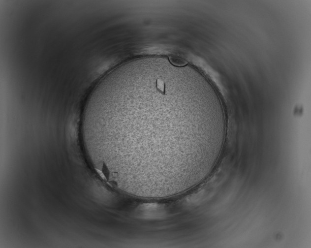 X0000102860153200809021432