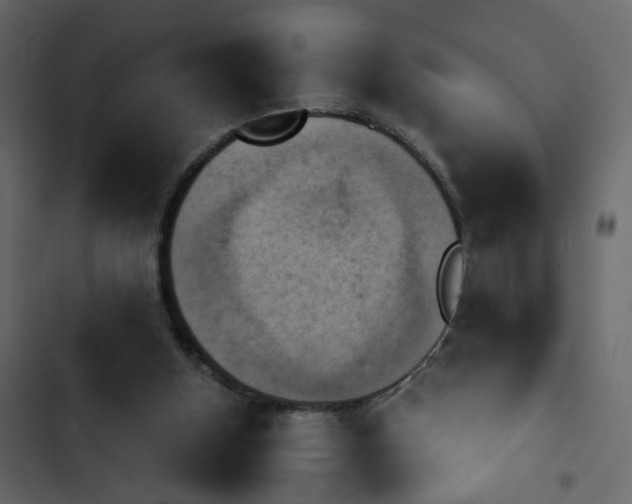 X0000102860154200809021432