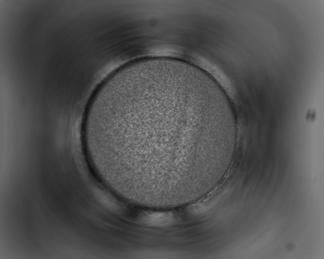 X0000102860155200809021432