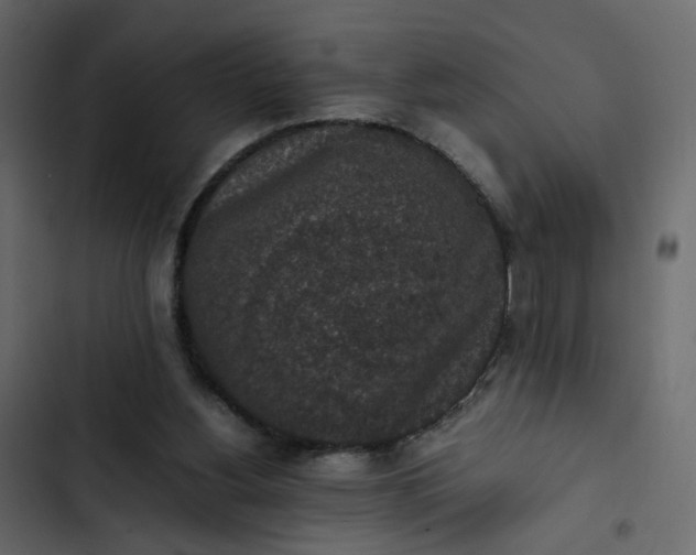 X0000102860156200809021432