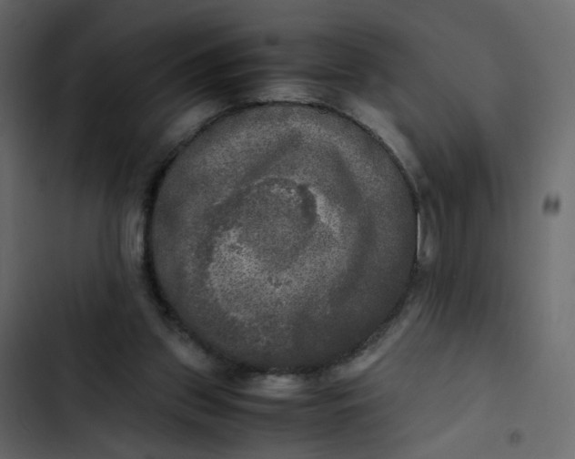 X0000102860157200809021432