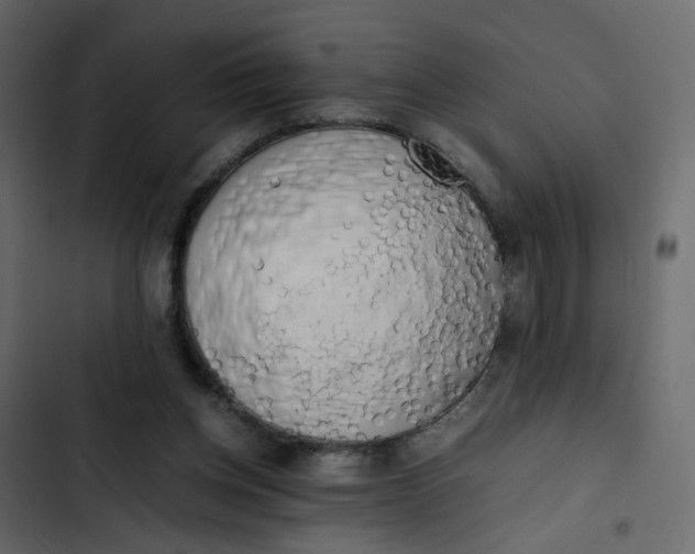 X0000102860158200809021432