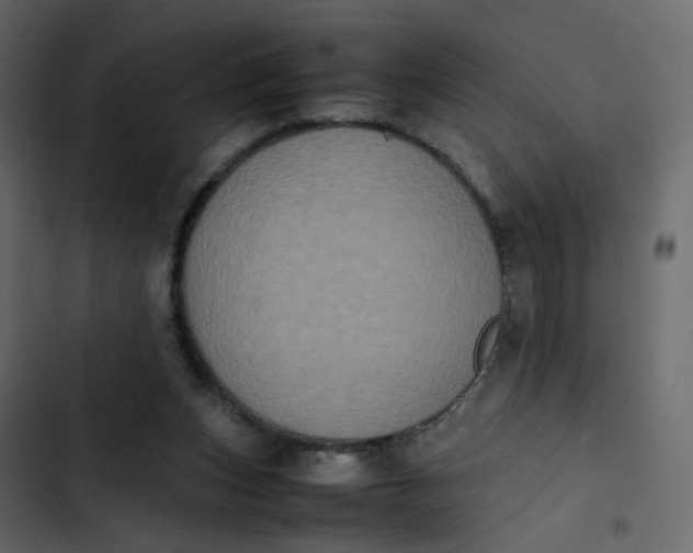 X0000102860159200809021432