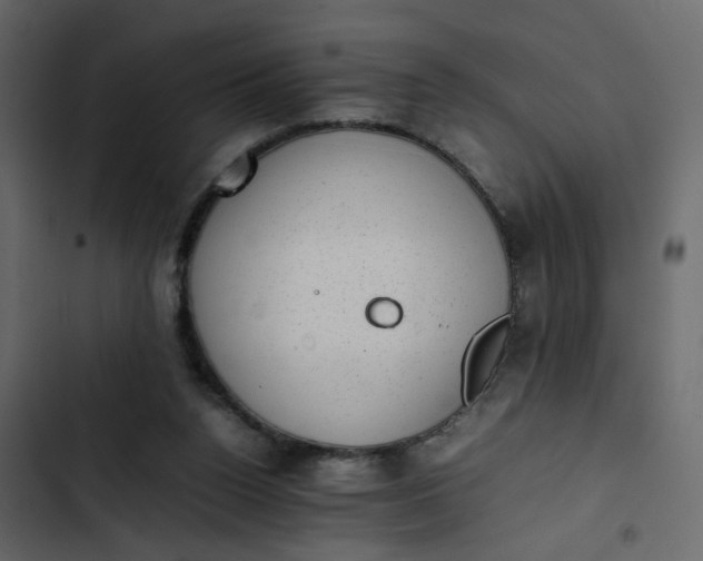 X0000102860160200809021432