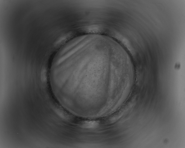 X0000102860161200809021432