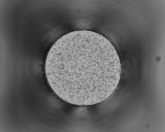 X0000102860162200809021432