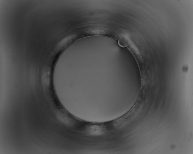 X0000102860163200809021432