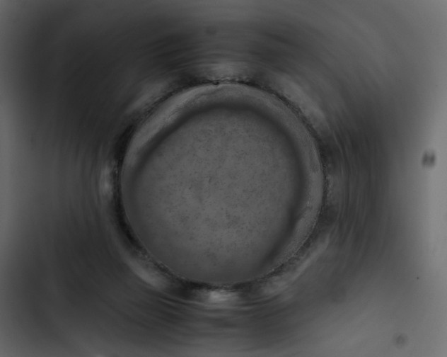 X0000102860165200809021432