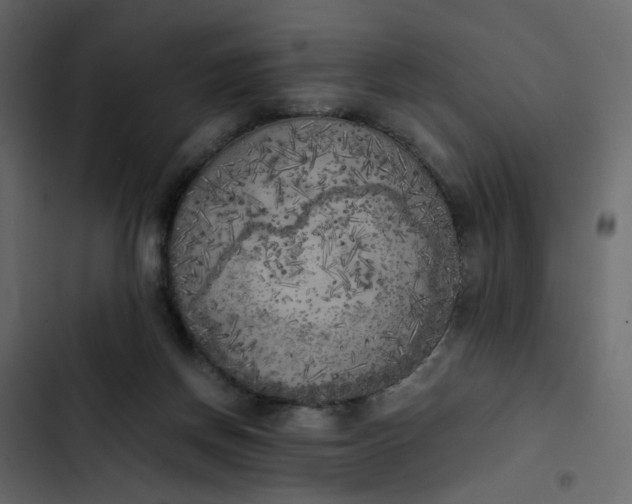 X0000102860166200809021432