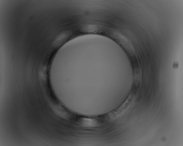 X0000102860167200809021432