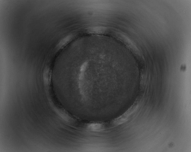 X0000102860168200809021432