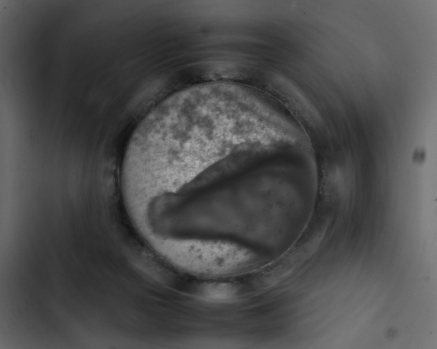 X0000102860169200809021432