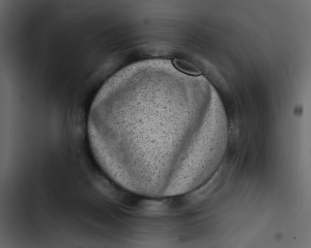 X0000102860170200809021432