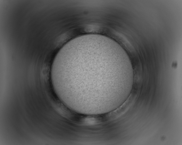 X0000102860171200809021433