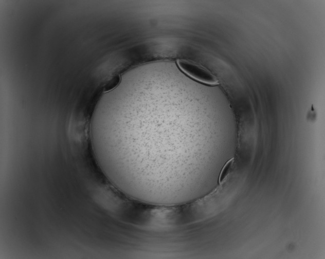 X0000102860172200809021433