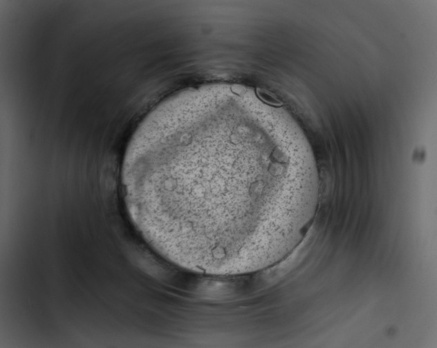 X0000102860174200809021433