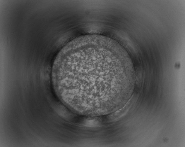 X0000102860175200809021433