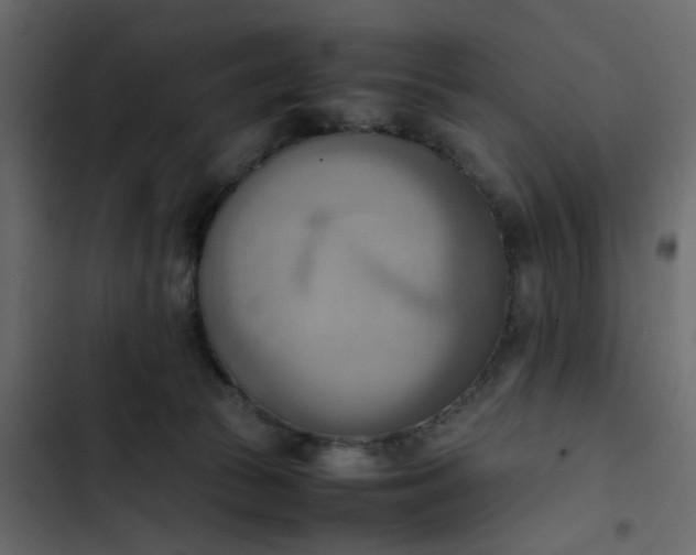 X0000102860177200809021433