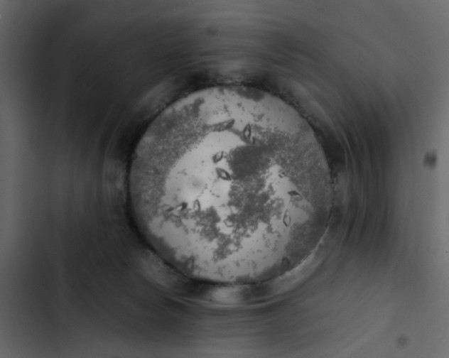 X0000102860178200809021433