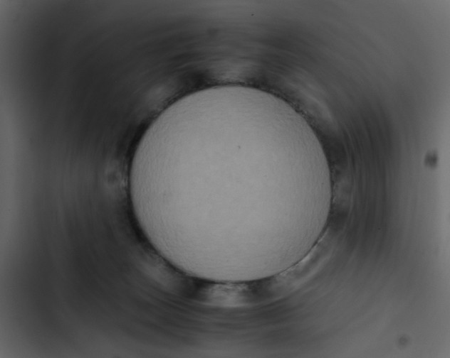 X0000102860179200809021433