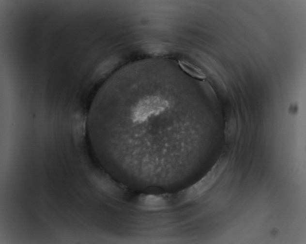 X0000102860180200809021433