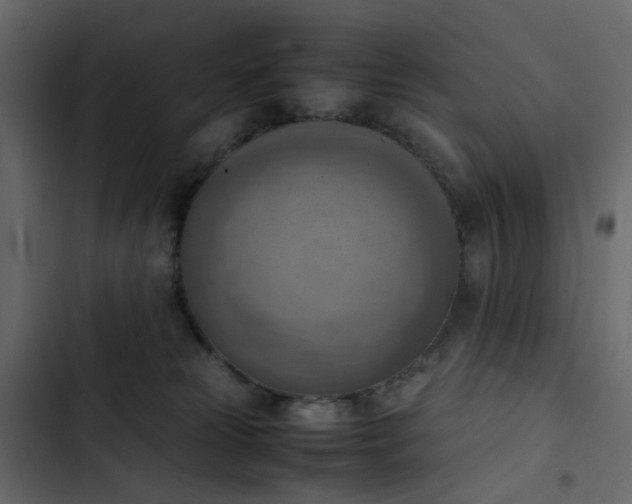 X0000102860181200809021433