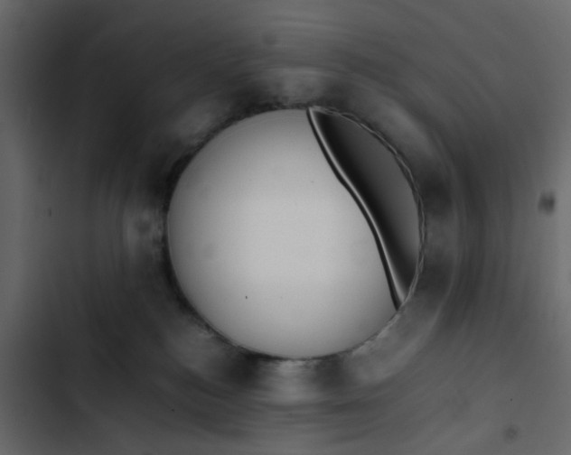 X0000102860184200809021433