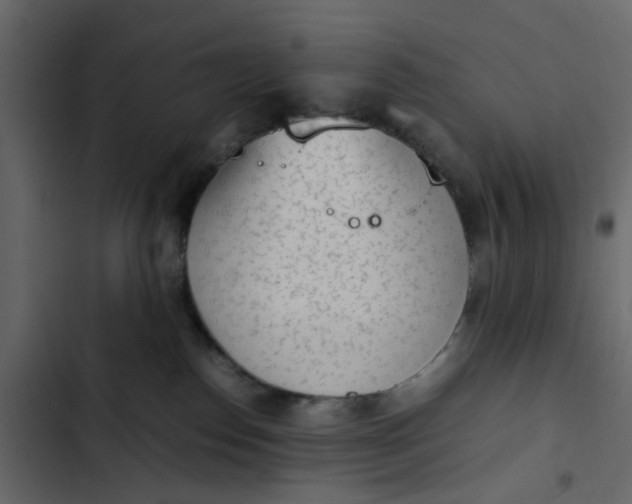 X0000102860186200809021433