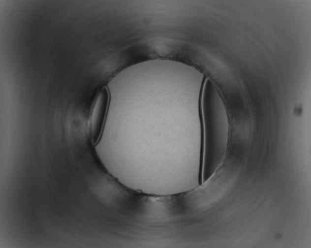 X0000102860188200809021433