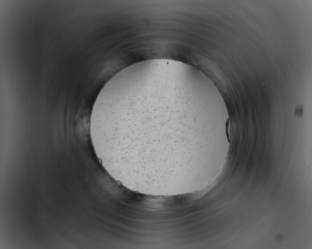 X0000102860190200809021433