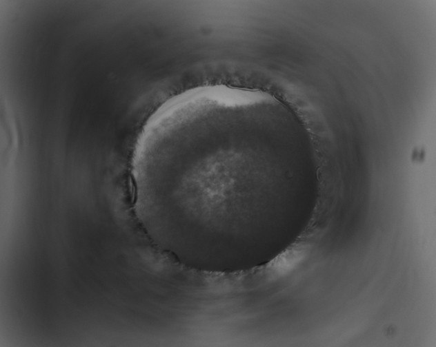 X0000102860192200809021433