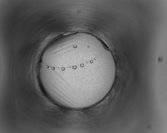 X0000102860193200809021432