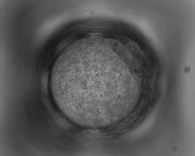 X0000102860194200809021432