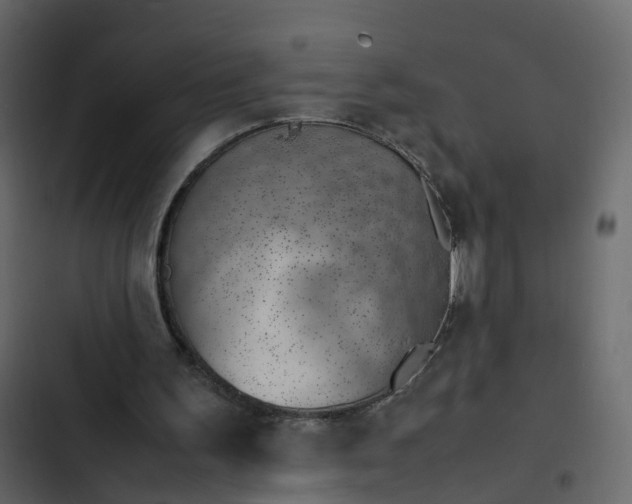 X0000102860195200809021432