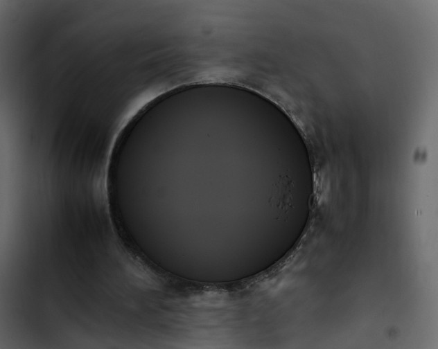 X0000102860196200809021432