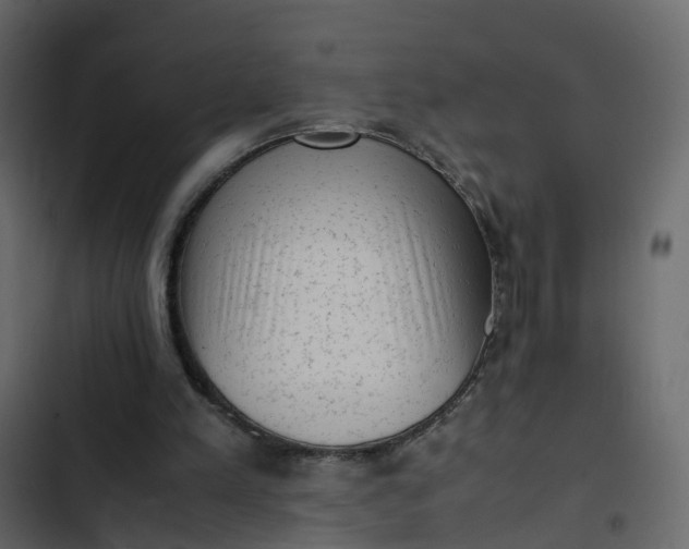 X0000102860197200809021432