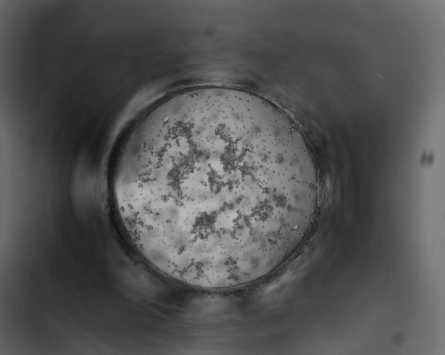 X0000102860198200809021432